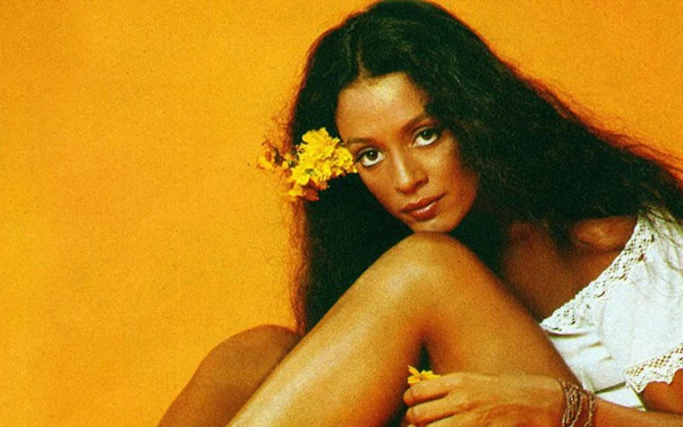 Falta de representatividade com Sonia Braga, escalada para Gabriela (1975)
